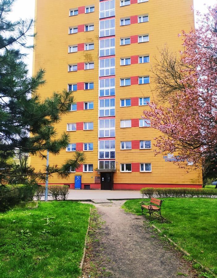 Apartament Alicja Lejlighed Stary Toruń Eksteriør billede