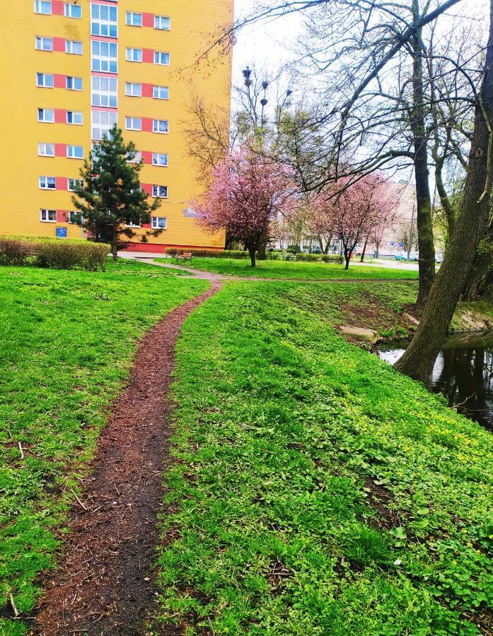 Apartament Alicja Lejlighed Stary Toruń Eksteriør billede